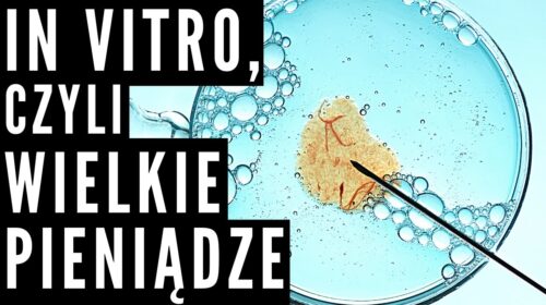 Dziesiątki miliardów złotych. O to chodzi w refundacji in vitro?