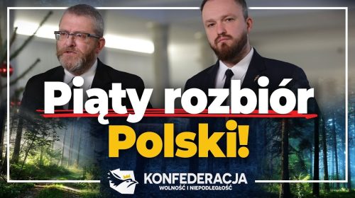 V rozbiór Polski? Lasy na tapecie