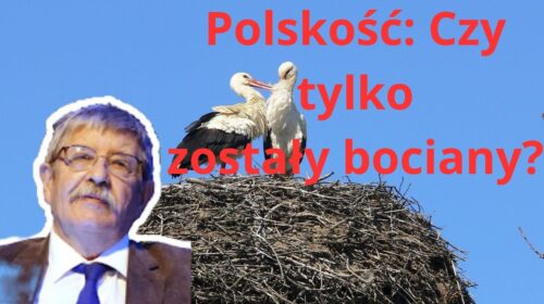 Czy zostały tylko bociany?