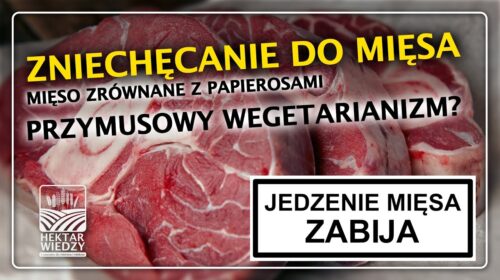 Zniechęcanie do mięsa. To się właśnie odbywa!