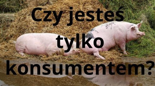 Czy potrafisz nie być tylko konsumentem? Czy mamy jeść obierki?