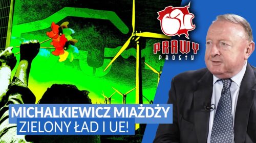 Czy partie walczące o mandaty w europarlamencie mogą obronić naszą niepodległość?