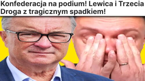 Lewica po zobaczeniu wyników wyborów