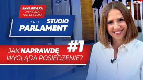 Jak naprawdę wygląda europarlament?