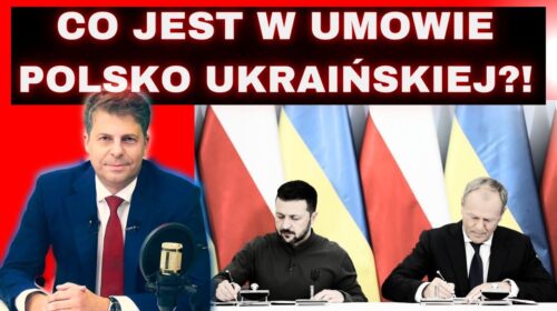 Konfederacja i AFD, Ukraina w NATO, pomnik wołyński, Lis i wyborcza