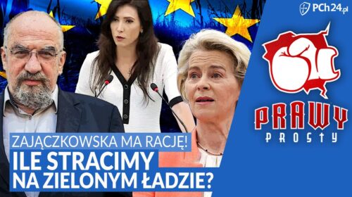 Zajączkowska miała rację! Ile stracimy na Zielonym Ładzie?