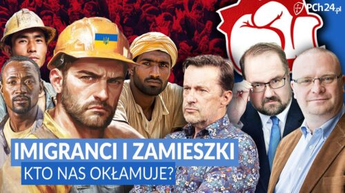 Imigranci i zamieszki. Kto nas okłamuje?