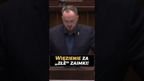 Więzienie za złe zaimki!