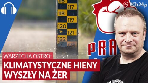 Klimatystyczne hieny wyszły na żer