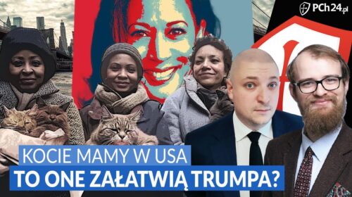 Kocie mamy w USA. To one zatopią Donalda Trumpa?