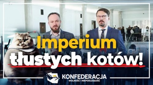 Imperium tłustych kotów Tuska!