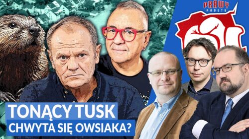 Tonący Tusk Owsiaka się chwyta?