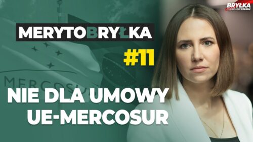 Nie dla umowy UE-MERCOSUR