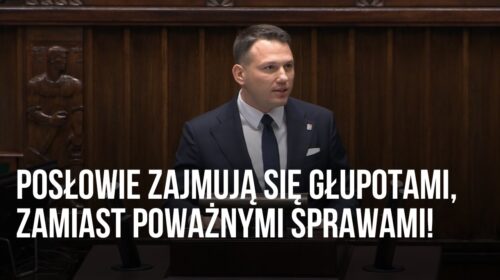 Posłowie zajmują się głupotami, zamiast poważnymi sprawami!