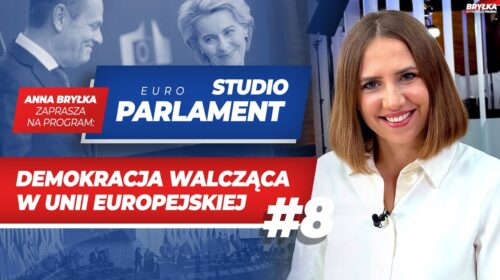 Demokracja walcząca w Unii Europejskiej