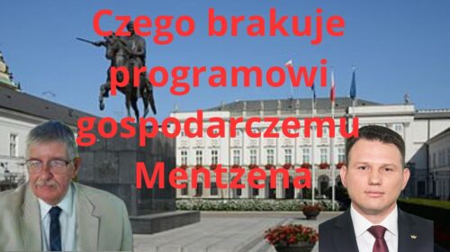 Mentzen – braki jego programu gospodarczego