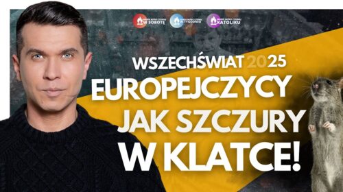 Europejczycy, szczury w klatce!