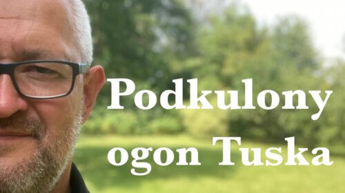 Podkulony ogon Tuska